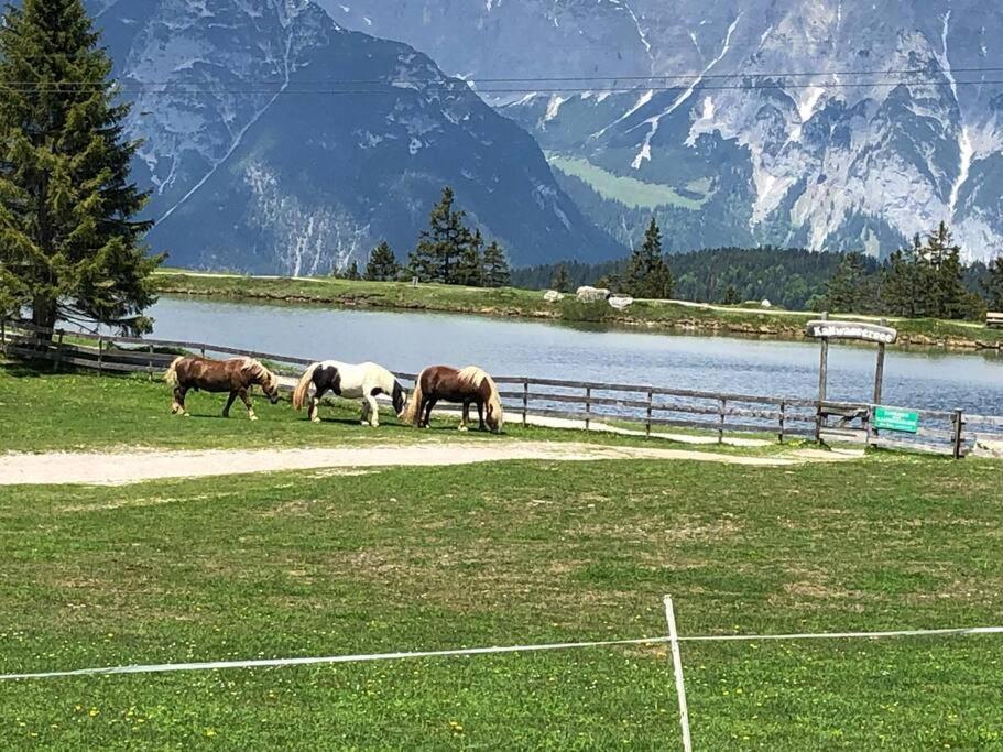 Sonniges Apartment Mit Hallenbad Und Sauna In Seefeld Seefeld in Tirol Exterior foto